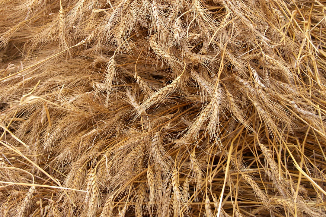 Saç Tipine Göre Keratin Bakımı Doğru Yöntemler
